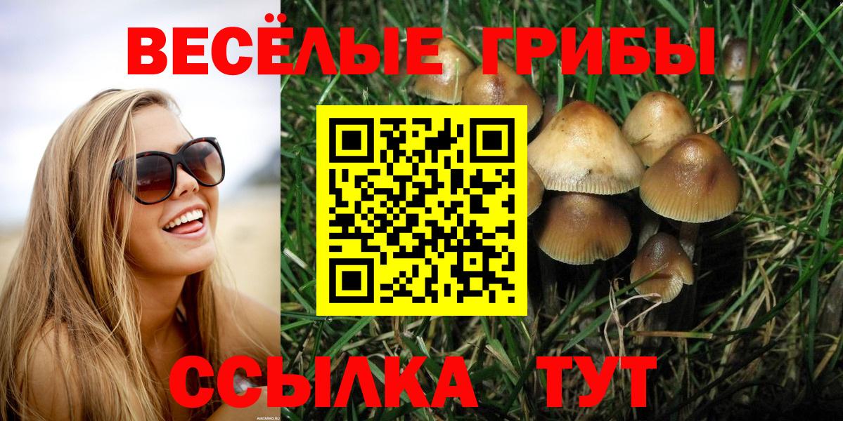 Галлюциногенные грибы Cubensis Саянск