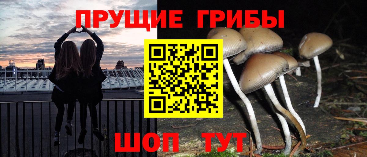 Саянск  Галлюциногенные грибы мухоморы  Вход с VPN 